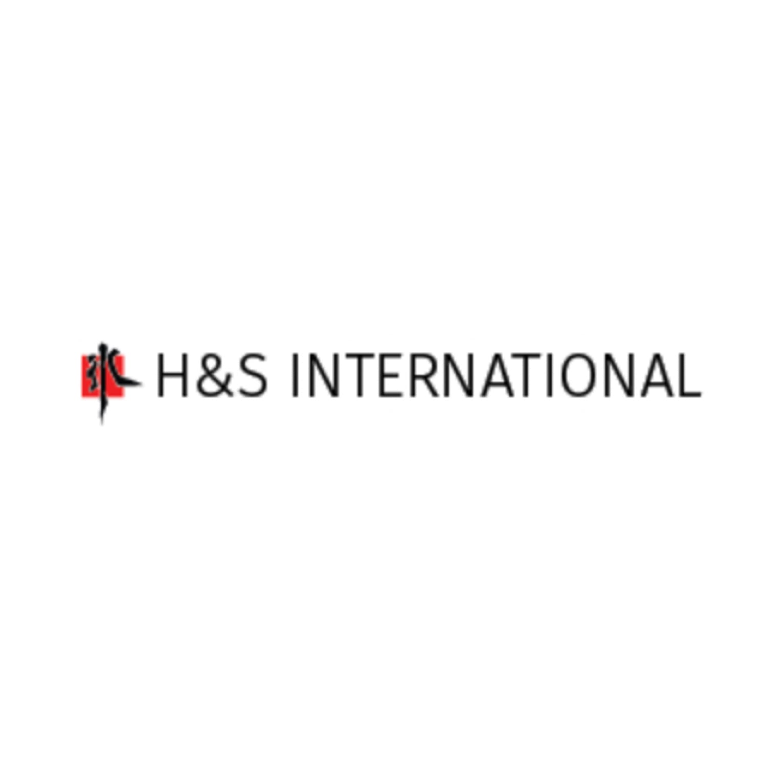 H&S INTERNATIONAL GROUP INC.