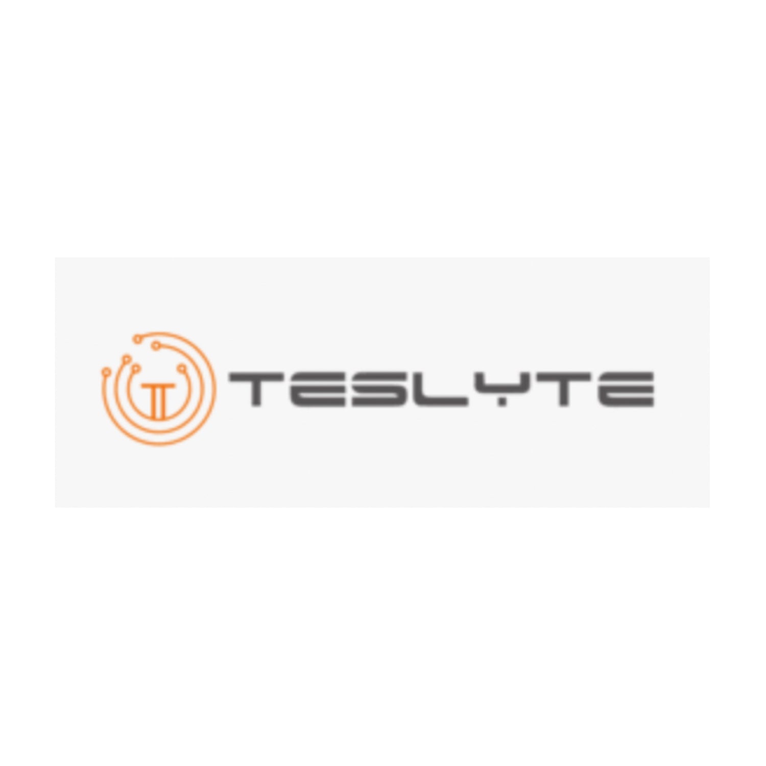 TESLYTE LLC