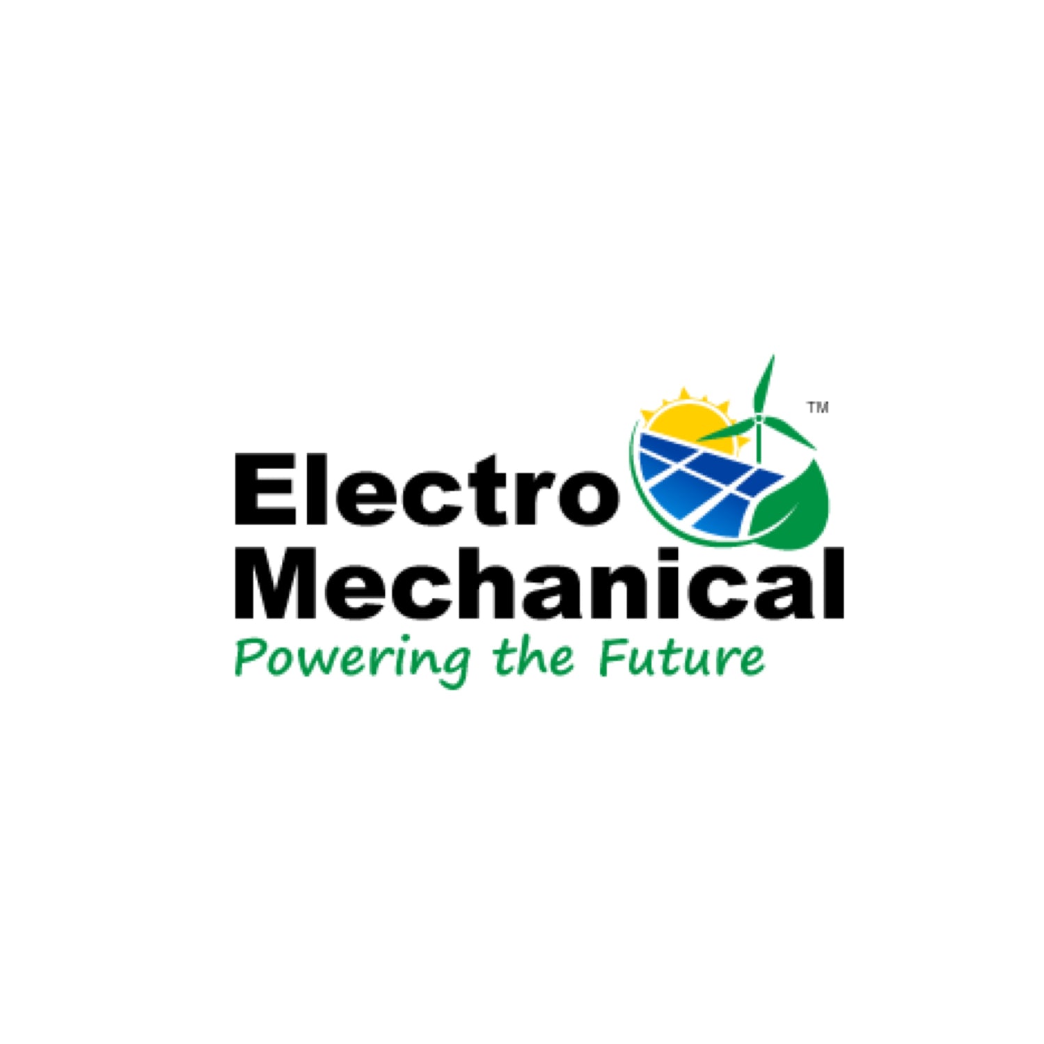 ELECTRO MECHANICAL LLC