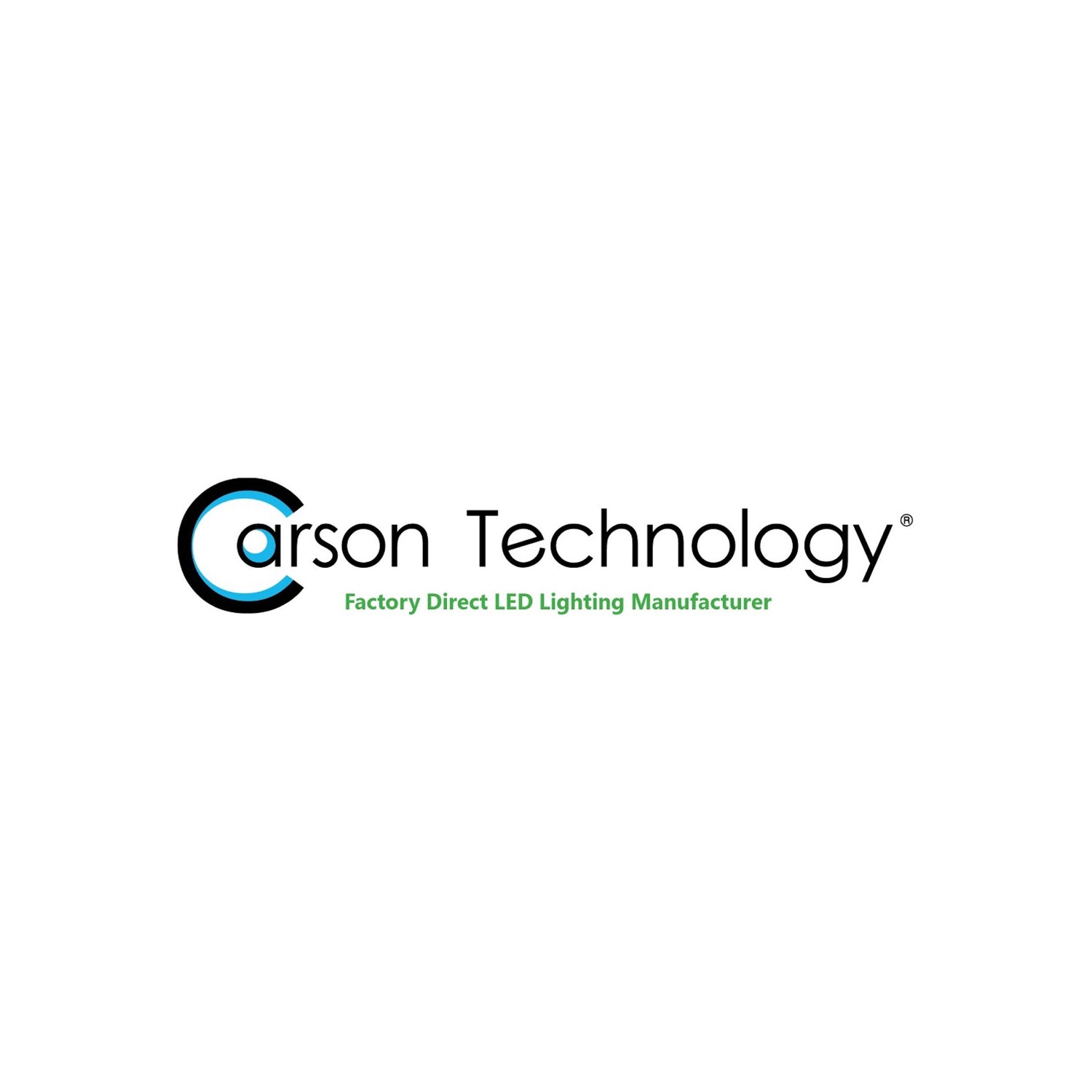 CARSON TECHNOLOGY COMPANY